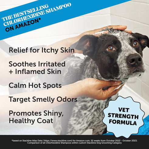 Pet Honesty Chlorhexidine Anti-itch Shampoo 16oz for Dogs and Cats, Helps Allergies, Itching, Shedding, Hot Spots