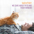 Sentry Calming Collar for Cats, Long-Lasting Pheromone Collar, Reduces Stress and Anxiety, 1 Count