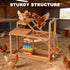 PHONDIKO 3-4 Chicken Perch with Swing, Chicken Roosting Bars, Wood Toy for Birds, Hen Ladder & Activity Play, Chickens