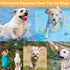 (6 Latex Dog Chewing Squeaky Ball Toys Face Fetch Play Toy for Puppy Small Medium Pets Dog cat PCS(C))