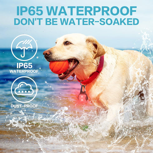 Dog Lights for Night Walking – 50LM Collar Light, 3 Modes Rechargeable Waterproof Dog Walking Light, 2 Pack