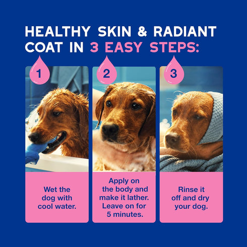 16 oz, DOUXO Skin & Coat SPA - Ultra-Safe Sensitive Skin Soothing Shampoo, fl Skin-Friendly Formula Cleans and Soothes