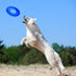 Nerf Dog 10in Enhanced Translucent TPR Tire Flyer for Medium Breeds, Blue