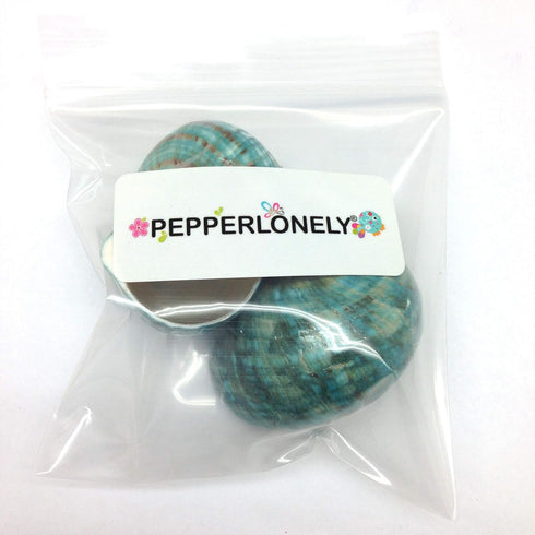 PEPPERLONELY 2 2-1/2 Inch 3 Inch PC Natural Large Hermit Crab Shells, Green Blue Gade Turbo, ~