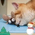 Gigwi Squeaky Cricket Cat Toy, Interactive Electronic Motion Activated Bug Sound, Automatic Squeaky Toy for Indoor Fun