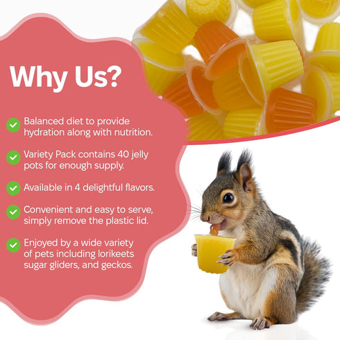 Pack 40 Snout and Shell Pet Jelly Pods Variety - Nutritious Jelly Fruit Nectar Treats for Geckos, Sugar Gliders, Birds