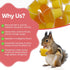 Pack 40 Snout and Shell Pet Jelly Pods Variety - Nutritious Jelly Fruit Nectar Treats for Geckos, Sugar Gliders, Birds