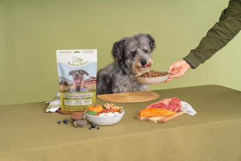 by Katherine Heigl- Superfood Complete Beef Formula Adult Dog Food, Air-Dried, High Protein, Zero Fillers, Superfood