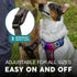 Embark Urban Dog Harness - No-Pull Reflective Trim for Small, Medium & Large Dogs, Heavy Duty Oxford, 2 Leash Clips &