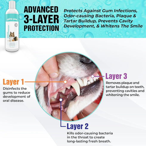 (8 oz) Alpha Paw Magic Mouthwash for Dogs, Natural Water Additive, Canine Breath Freshener, Dog Essentials for Plaque