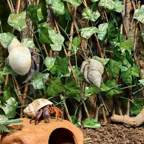 15.75 Reptile Hermit Crab Climbing Toys in Sweet Potato Leaves Expandable Retractable Plastic Simulation Trellis Hedge