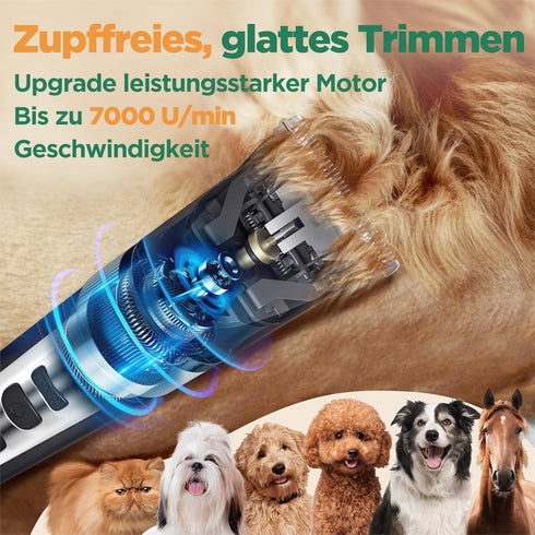 2 1 Gimars in Dog Clippers with Stainless Steel Dog Grooming Scissors Kits - Silver
