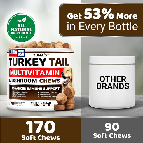 170 Count Immune Turkey Tail Mushroom for Dogs - - Mushroom Chews for Dogs Lipoma Lumps and Bumps - Health, Digestive
