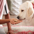 Milk-Bone Dipped Dog Treat Biscuits - 32 Ounce (Pack of 2) - Baked with Real Peanut Butter