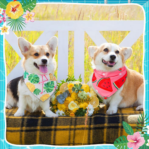 Bulyoou 72 Summer Summer Pcs Dog Bandanas Bulk for Adjustable Washable Pet Triangle Scarf Soft Kerchief Bib for Holiday