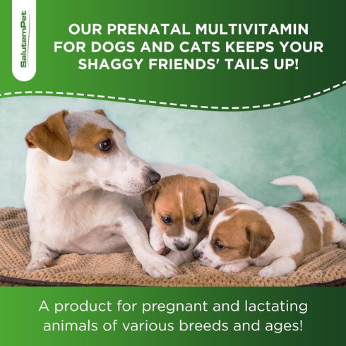 Dog Prenatal Vitamins, Supplies for Pregnant Cats, Vitamins for Dogs and Cats, 2 oz