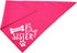 Big Sister Dog Bandana – Reversible Triangle Bibs Pet Scarf