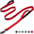Fida 6 FT Heavy Duty Dog Leash with 2 Padded Handles, Traffic Handle & Easy Snap Hook, Reflective Walking Lead