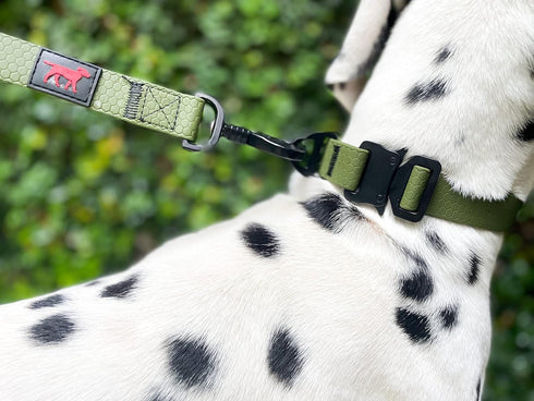 Tuff Pupper Waterproof Action Collar - Heavy Duty Tear Proof Dog Collar with Rust-Proof Hardware for Active Dogs