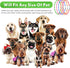 Weewooday 5 Pcs Light Up Dog Collars, Silicone LED Lighted for Night Walking, Rechargeable Glow in The Dark Safety