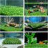 baudliglin 2PCS 9"x9" 8 Aquarium Grass Decor Crab Hermit Climbing Wall Artificial Plastic Lawn Mat with Suction Cups