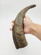 Chews Dried Goat Horns Dog Chew - Large 1 pc