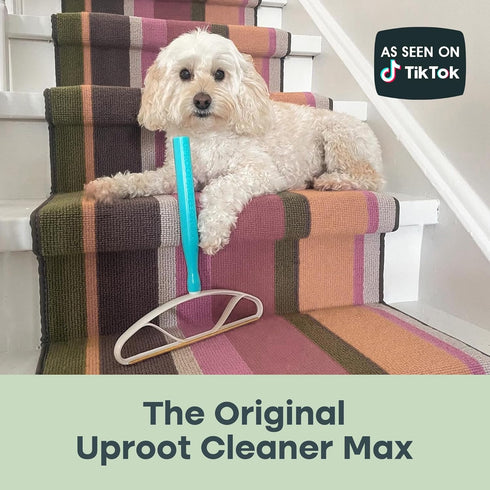 Uproot Cleaner Max Dog Hair Remover for Car & Carpet, Rake for Pet Hair Removal, Easy Cat Hair Remover for Fabrics