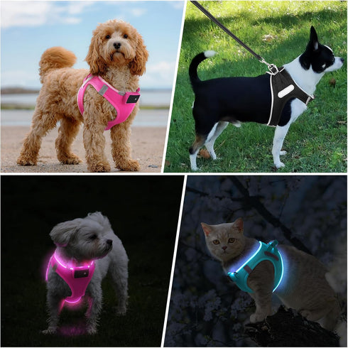 PceoTllar Light Up Dog Harness, LED No Pull Reflective Dog Harness, Flashing Lighted for Night Walking - Small/Medium