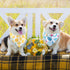 Aliceset 180 Summer Pcs Pet Dog Bandana Bulk Fruit Bandanas for Dogs Adjustable Washable Tropical Pet Triangle Scarf