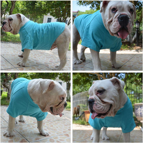 Lovelonglong Pet Clothing Dog Costumes Basic Blank T-Shirt Tee Shirts for Medium Dogs, Turquoise, XXL