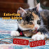 Funny Catnip Doobies - Hilarious Cat Toys for Endless Fun