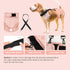 1PC wegreeco Reusable Washable Dog Diapers Female with Suspender, Dogs Period Heat Diapers Female Heat Cycle, XL Medium