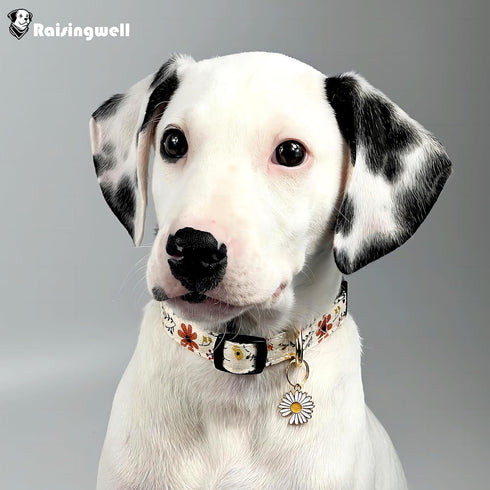 Cute Beige Flower Pattern Dog Collar, Adjustable Holiday Gift for Medium to X-Large Breed Dogs