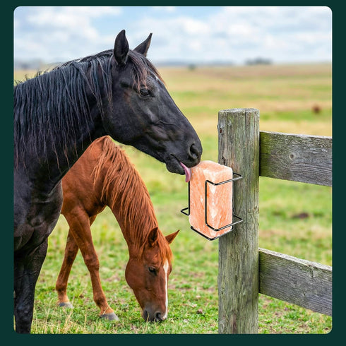 U0U 2 4 lb Pcs Salt Block Holder for Deer Blocks,Rust Resistant Mineral Block Holder,Salt Lick Block Holder for Horses