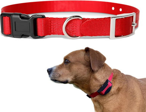 e-Collar Replacement Strap, Shock Collar Replacement, Compatible with Most Brands, 1", Red