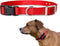 e-Collar Replacement Strap, Shock Collar Replacement, Compatible with Most Brands, 1", Red