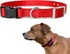e-Collar Replacement Strap, Shock Collar Replacement, Compatible with Most Brands, 1", Red