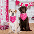 QUQULE 3PCS, Valentines Dog Bandana St Patricks Day and Easter Dog Bandana Small Colorful Scarf for Boy and Girl