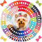 Yxiang 100PCS Dog Bows, Cute Yorkie Puppy Bows with Rubber Band, Pet Grooming Bows for Small Dogs - 50 Pairs