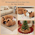 20 3-in-1 Cat Tunnel Bed with Pcs Interactive Toys, DIY Collapsible Plush Cat Tube with Washable Mat, Large Indoor Play