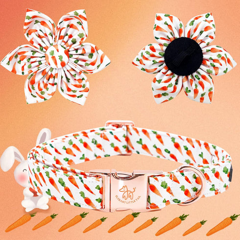Elegant little tail US Flag Dog Collar, Adjustable Cute Detachable Collar with Flower for Small Dogs