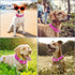 Wisedog Waterproof Dog Collar, Adjustable 7" to 23.6", Soft Rubber Coated Webbing for Small Medium Large Dogs (Rose