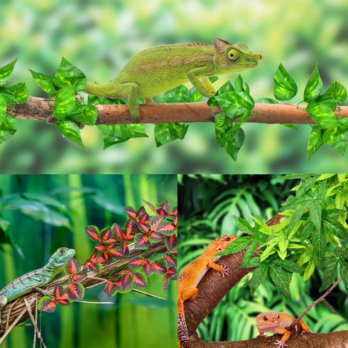 3 KATUMO Reptile Plants, PCS Amphibian Hanging Plants with Suction Cup for Snake, Bearded Dragons, Lizards, Geckos