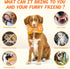 Interactive Plush Dog Toy: Squeaky Dog Toys with Crinkle Paper, Gaming Controller Shape, Rope Toys for Puppy, Small,