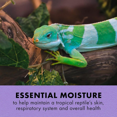 Zilla Tropical Mist Humidity Spray, Ideal for Tropical Reptiles, Fortified with Aloe Vera