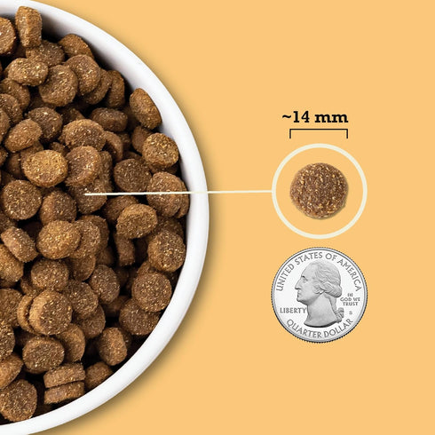 ACANA Dry Dog Food, Wholesome Grains, Free-Run Poultry, Real Chicken & Turkey, Eggs Recipe, 4lb