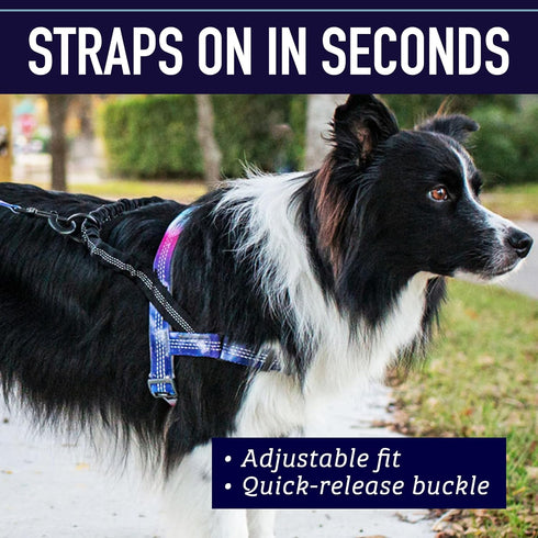 Leash Boss No Pull Dog Harness, Easy Walk for Small, Medium, Large Pets, Reflective with Rear and Front Clip
