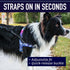 Leash Boss No Pull Dog Harness, Easy Walk for Small, Medium, Large Pets, Reflective with Rear and Front Clip