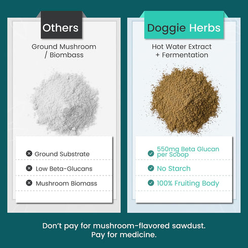 55% Immune 100g High Potency Turkey Tail Mushroom Extract Beta-Glucans (Coriolus Versicolor) Clinical Strength Fruiting