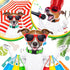 6 Pcs Reflective Dog Collar, Soft Padded Breathable Nylon Adjustable Puppy Collar with Safety Locking Buckle